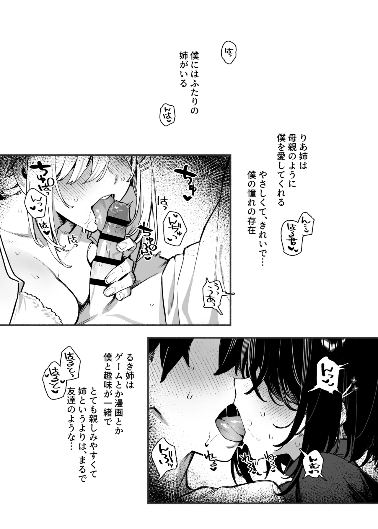 しすたーこんとらすと2 むっつりお姉ちゃんと偏愛交尾 - page3
