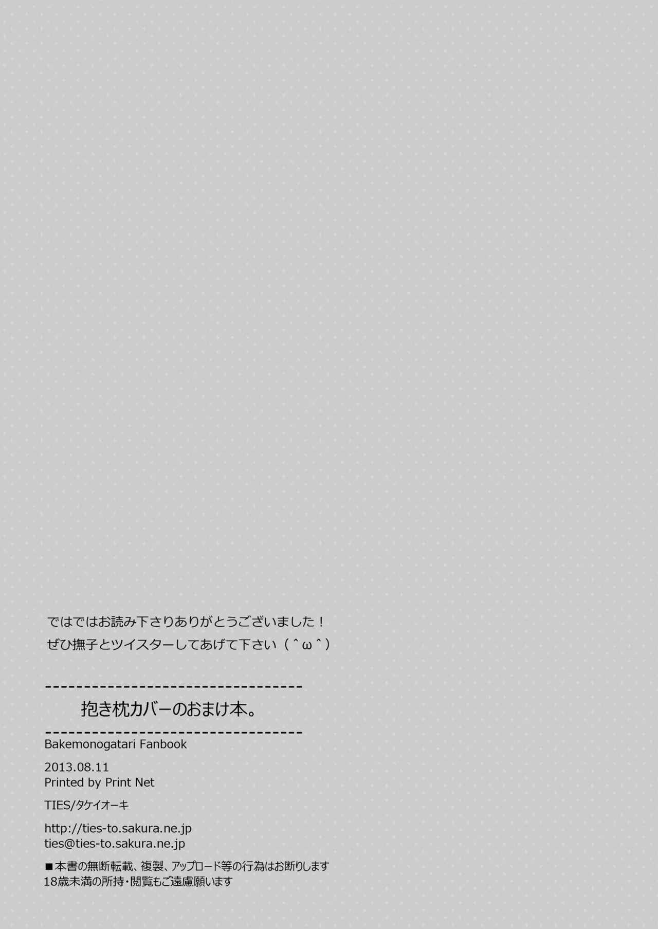 抱き枕カバーのおまけ本 - page11