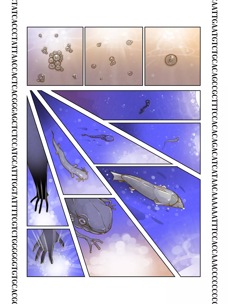 PRINCESS COMET : G - page12