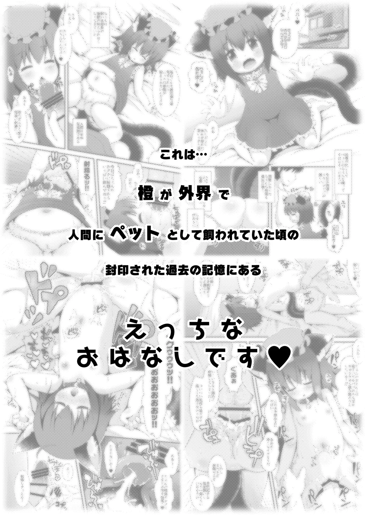 ちぇんといっしょ こすぷれちぇんじ - page3