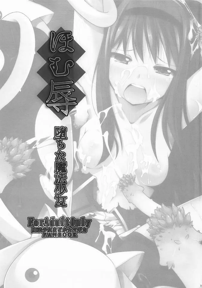 ほむ辱 堕ちた魔法少女 - page2