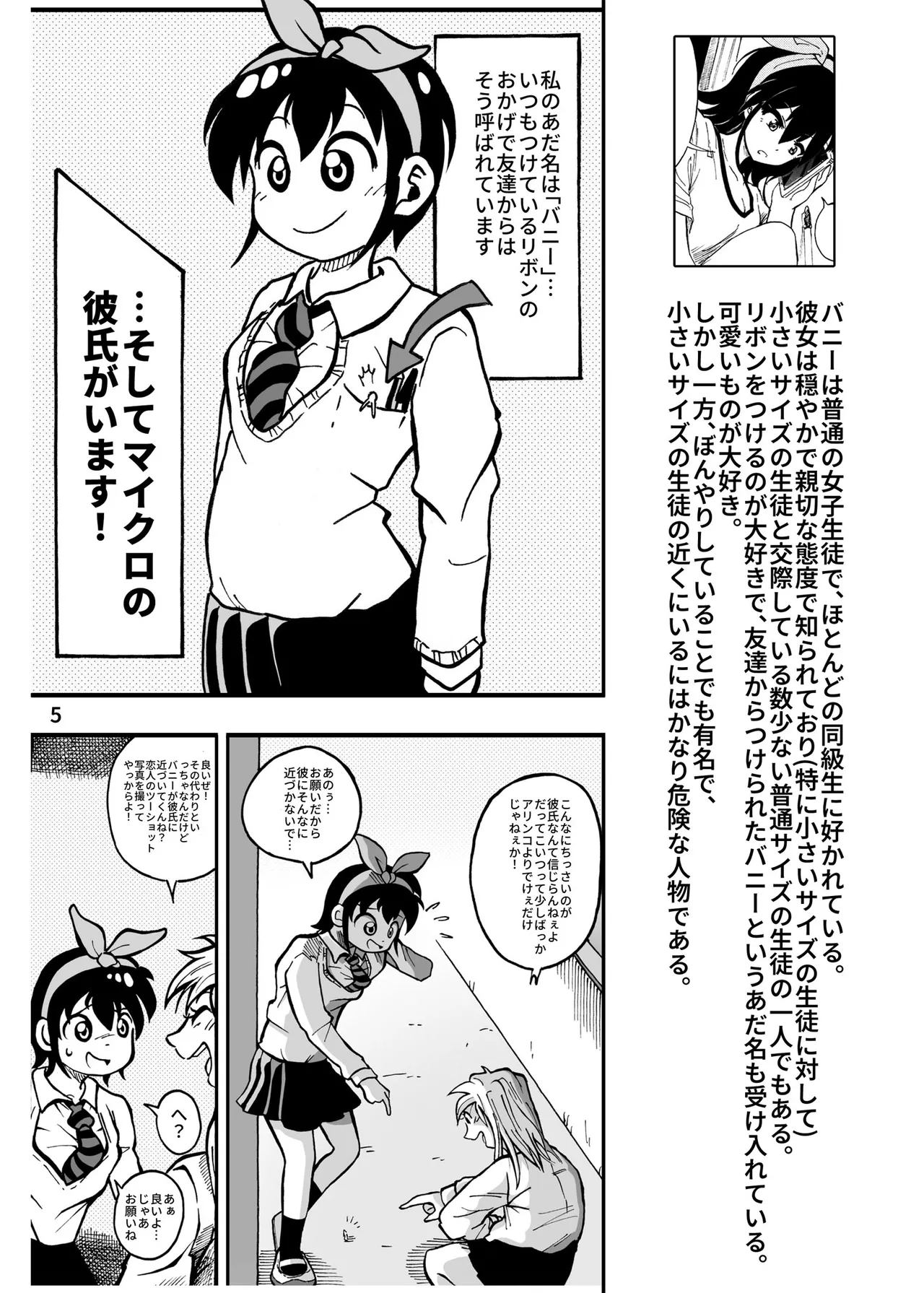 ハーフインチハイ&MicroRPG - page6