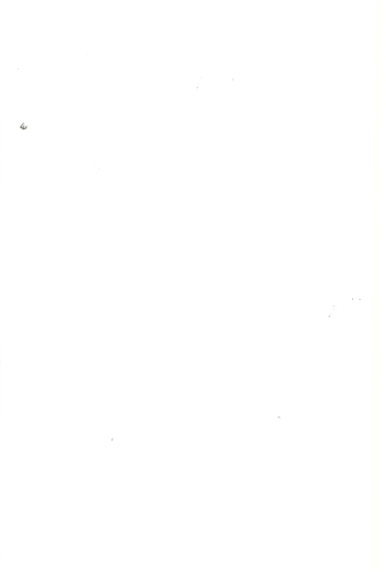 サマータイム・アフタースクール - page2