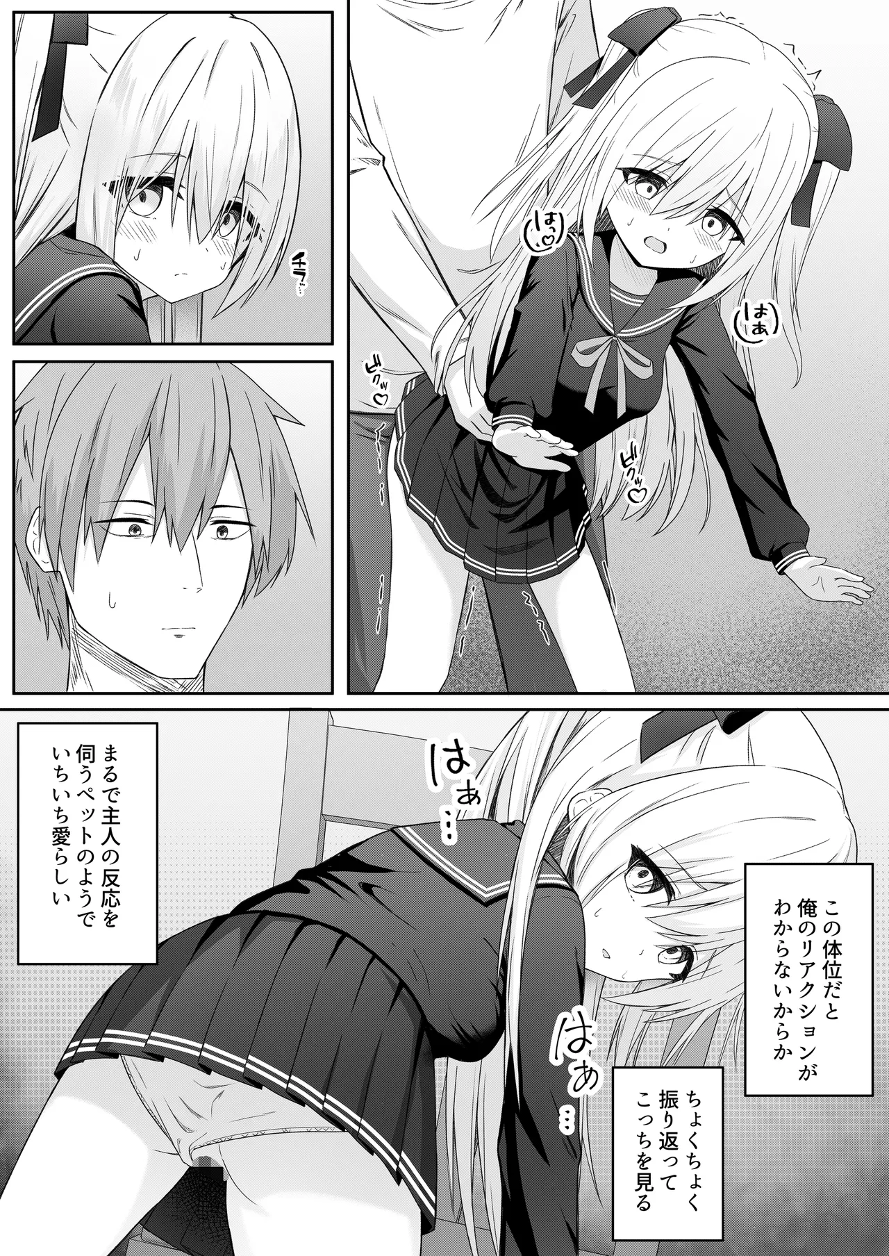代替品 + 制作記セット - page21
