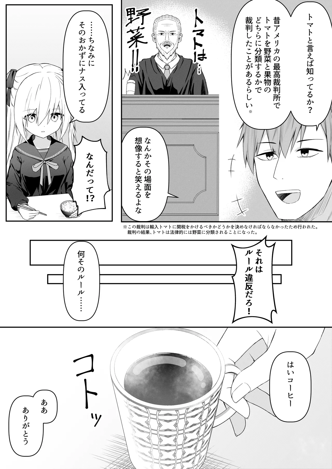 代替品 + 制作記セット - page6