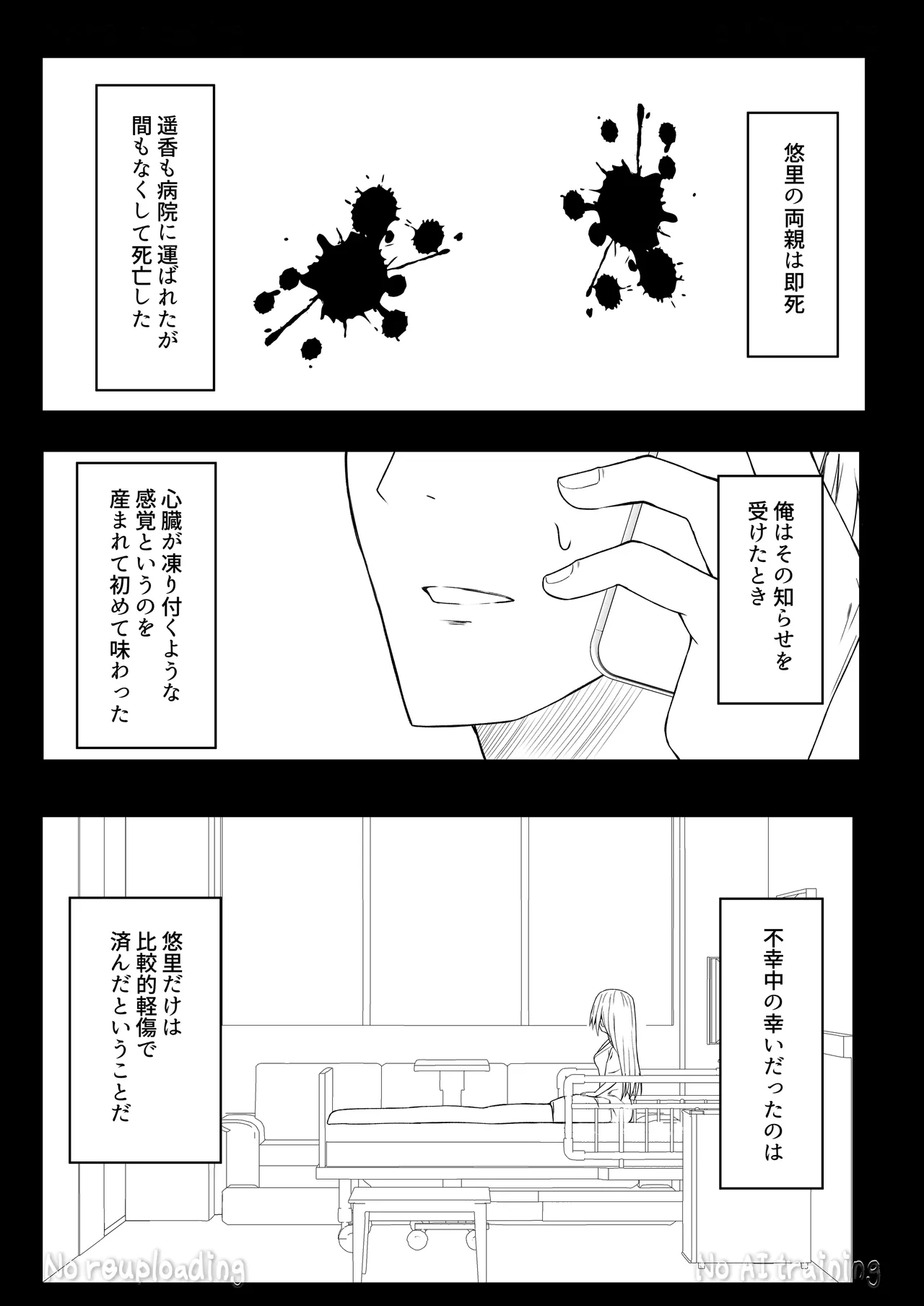 代替品 + 制作記セット - page87