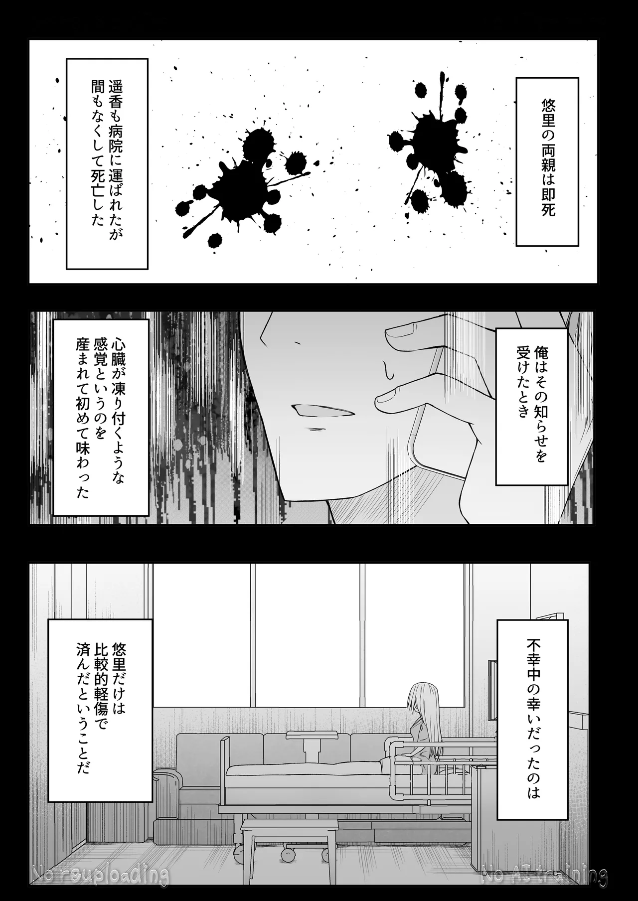 代替品 + 制作記セット - page88