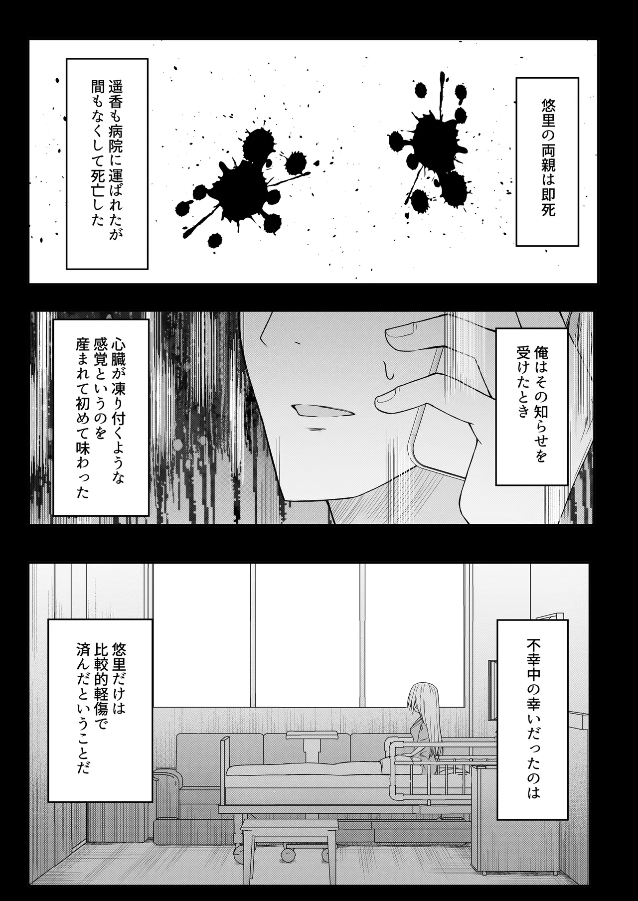 代替品 + 制作記セット - page9