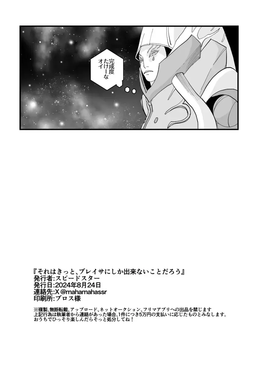 それはきっとブレイサにしか出来ないことだろう - page22