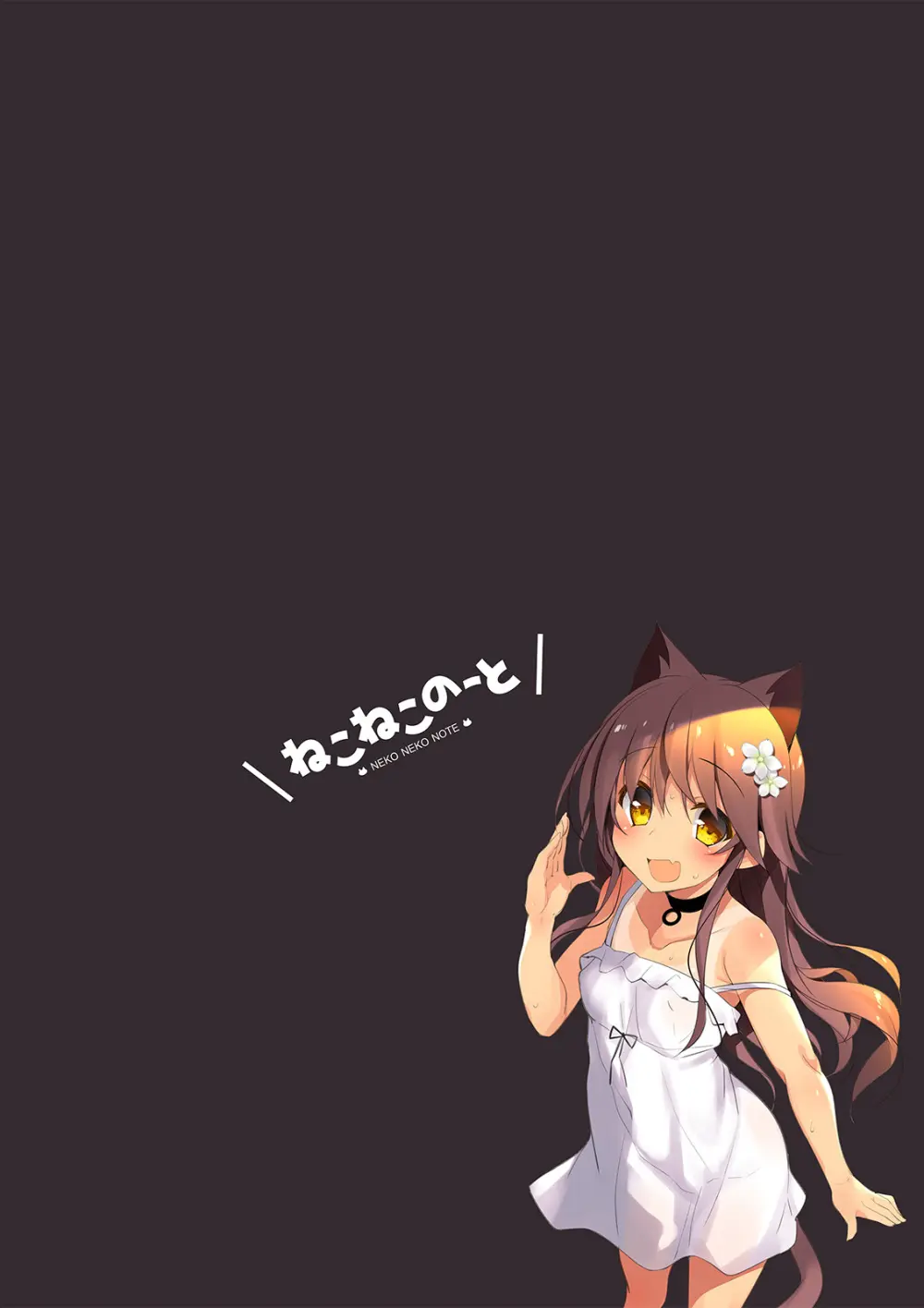 Neko Neko Note 5 エアコンが壊れた部屋で汗だくセックスする本 - page2