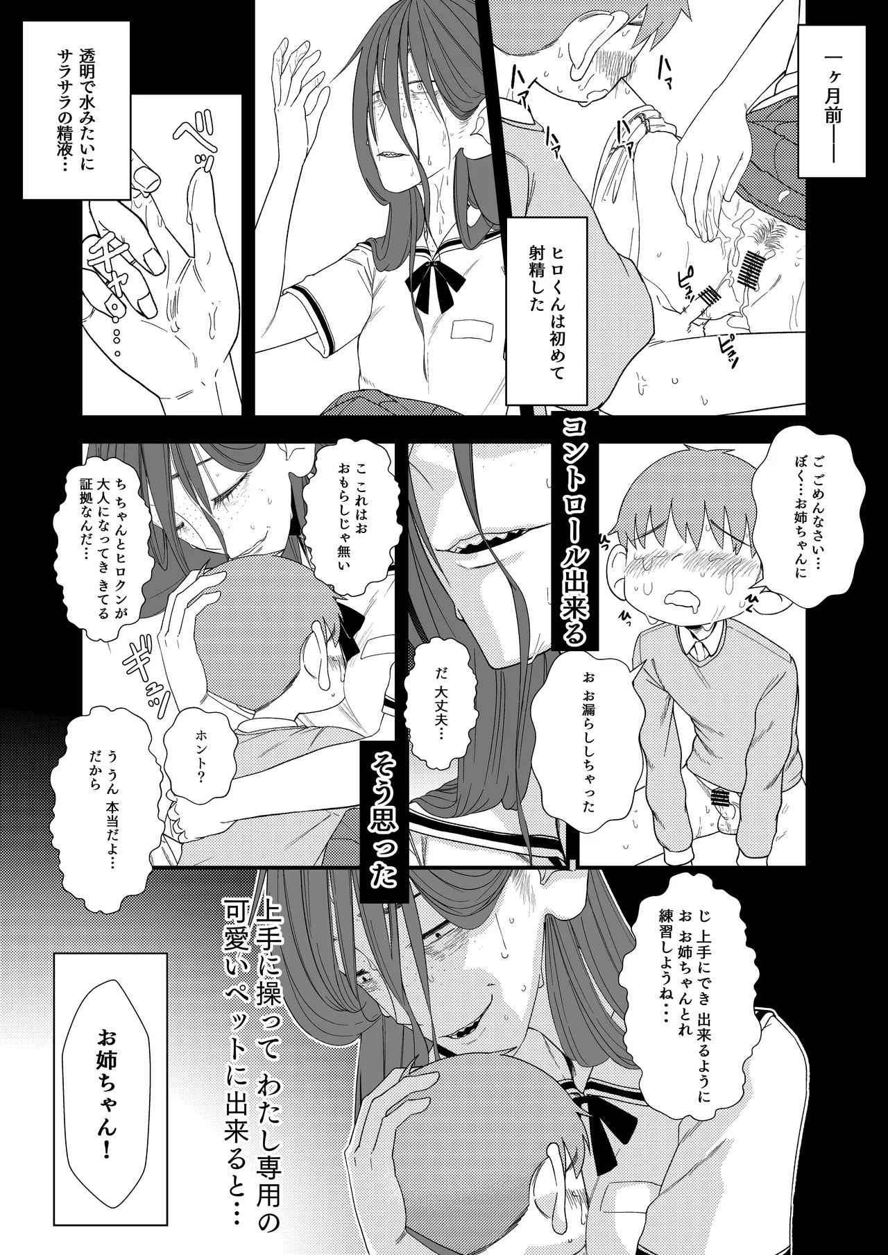 ヒロくんとお姉ちゃん - page2
