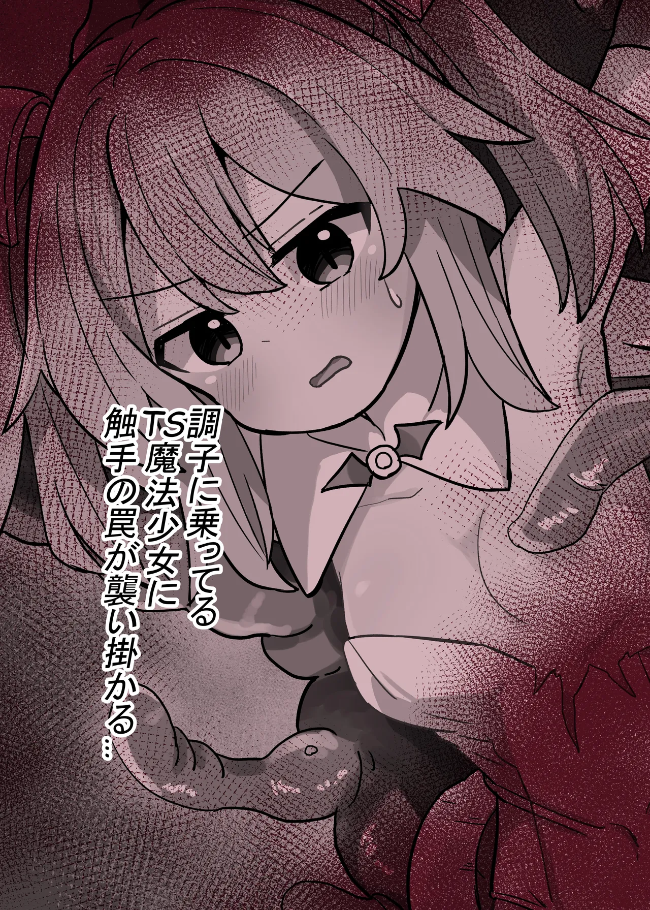 TS魔法少女、触手に堕ちる - page18