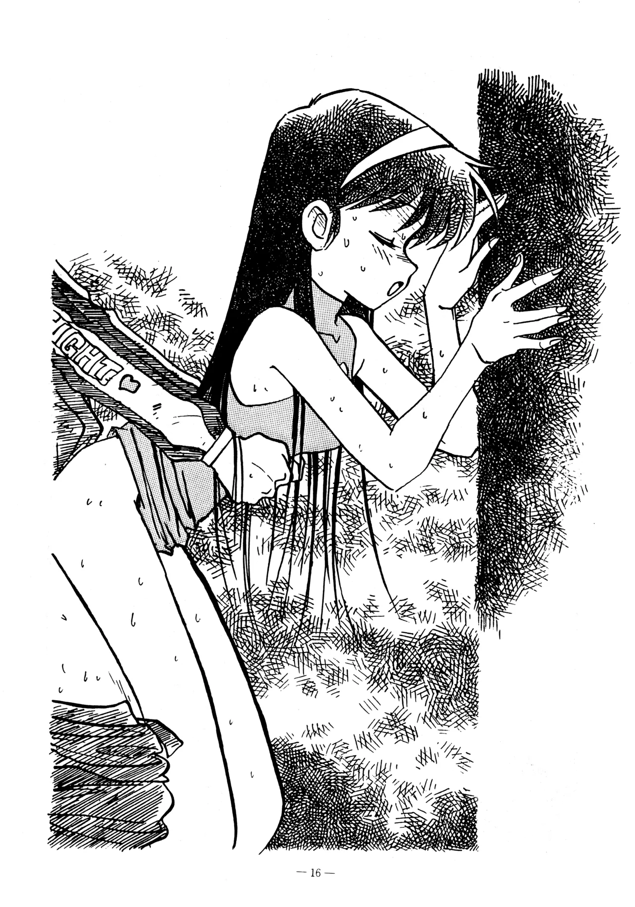 Little tomorrow PREVIEW Vol.8 「サイバーフォーミュラに明日はあるか?」原稿募集のPR号 - page16