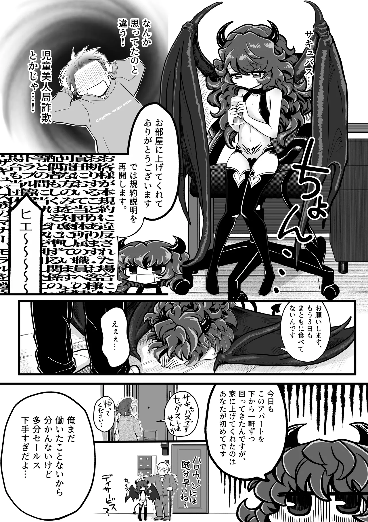 ポンコツ押売り営業サキュバスちゃん - page3