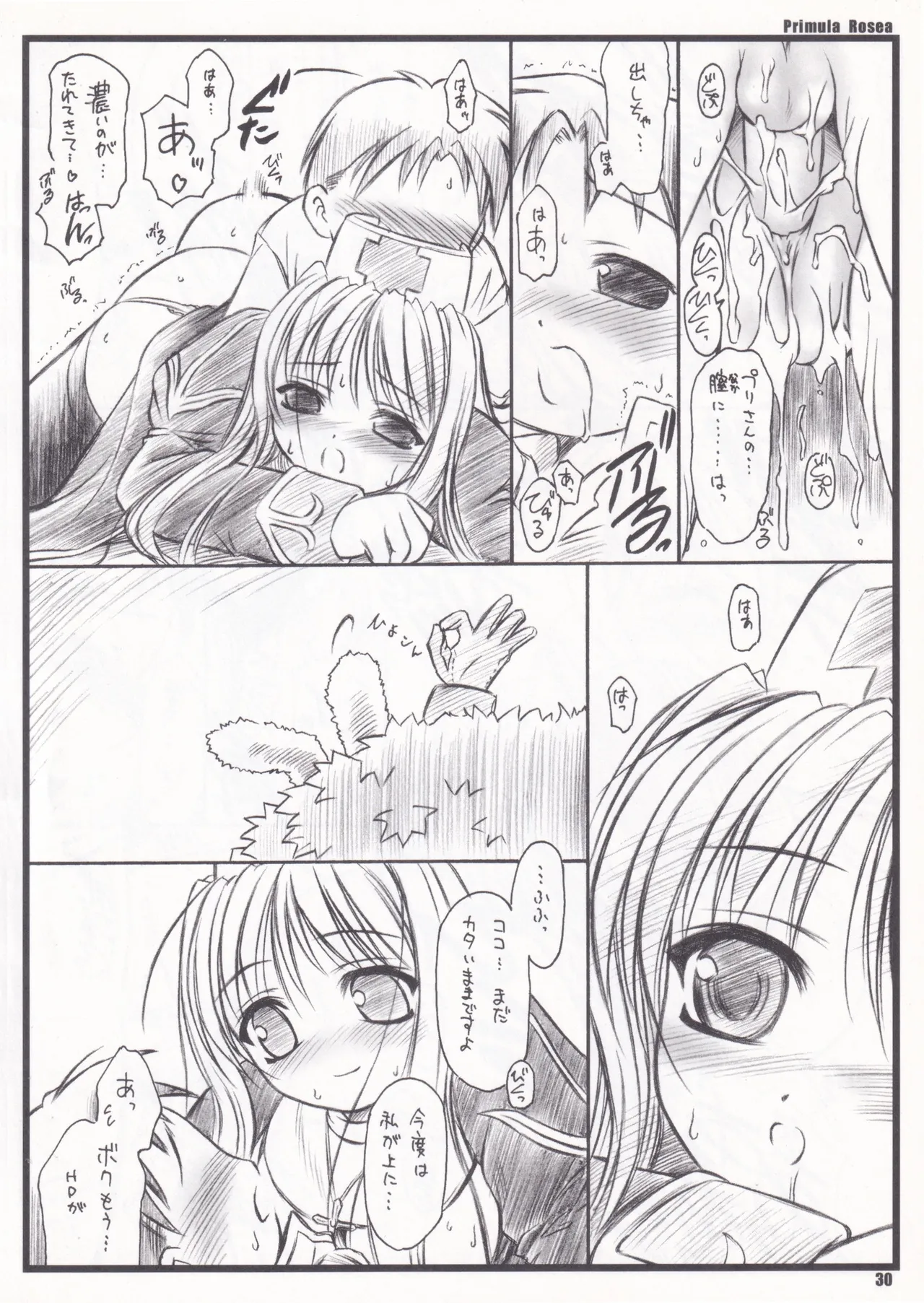 Primula Rosea [無修正] - page27