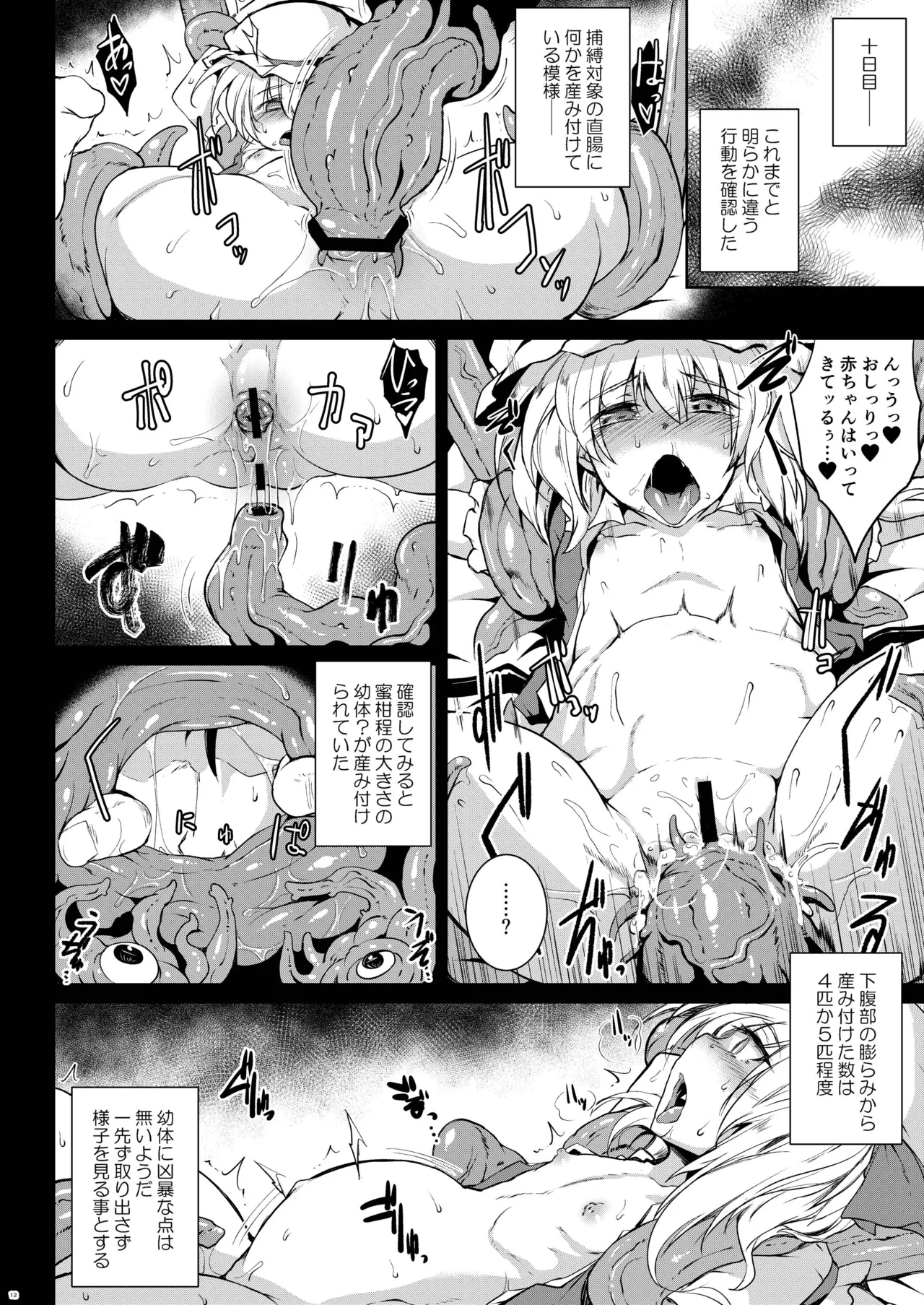 幻想艶交 -Flandre- 触 - page11