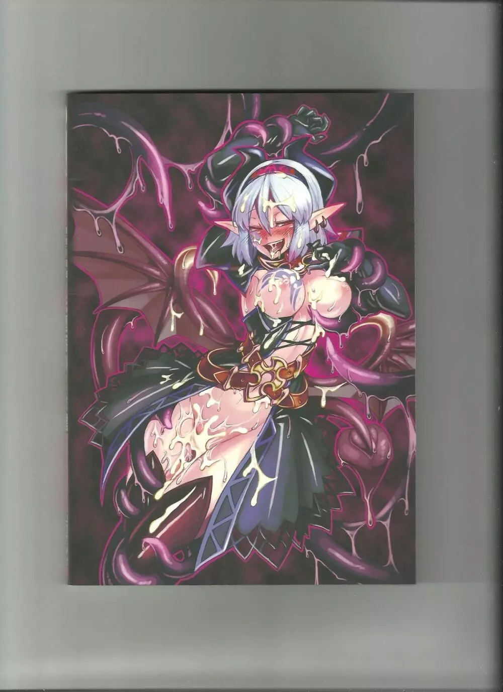 Monster Girl Encyclopedia World Guide I ～堕落の乙女達～ -Fallen Maidens- - page12