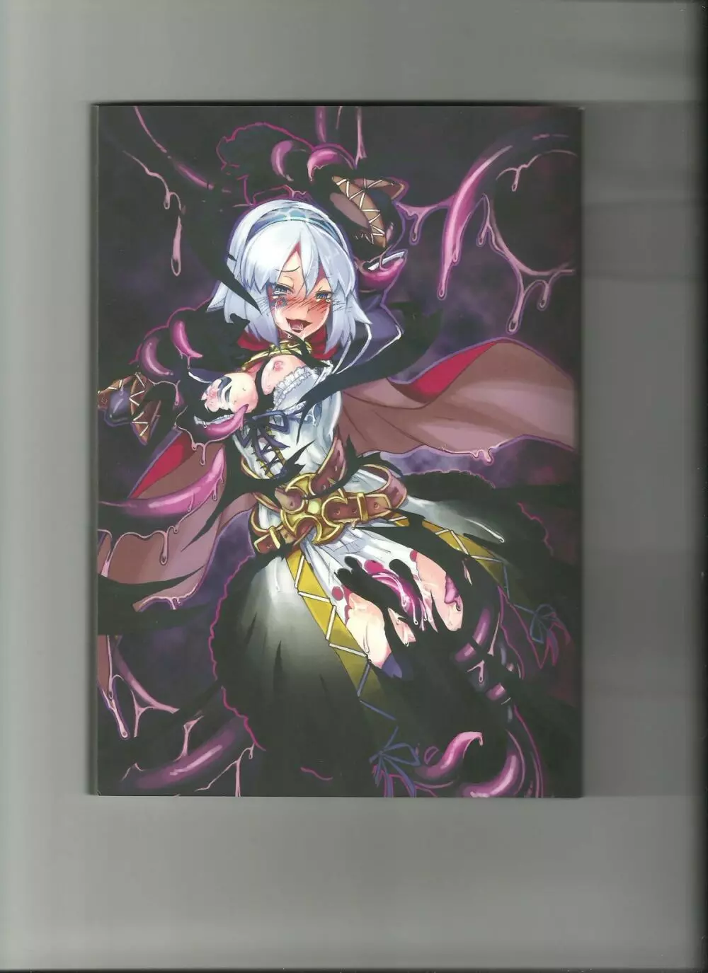 Monster Girl Encyclopedia World Guide I ～堕落の乙女達～ -Fallen Maidens- - page69