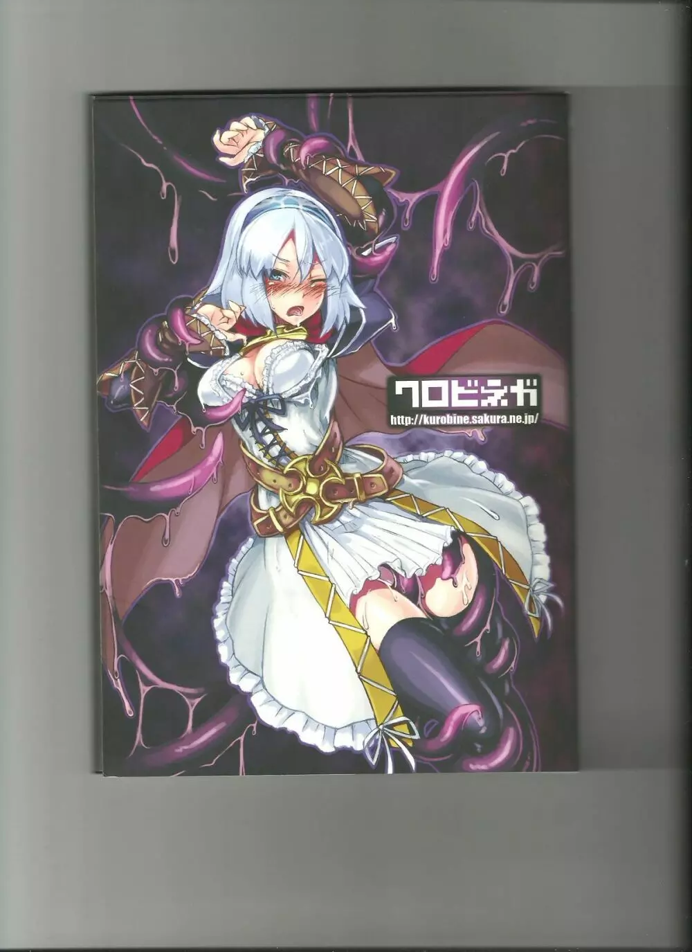 Monster Girl Encyclopedia World Guide I ～堕落の乙女達～ -Fallen Maidens- - page70