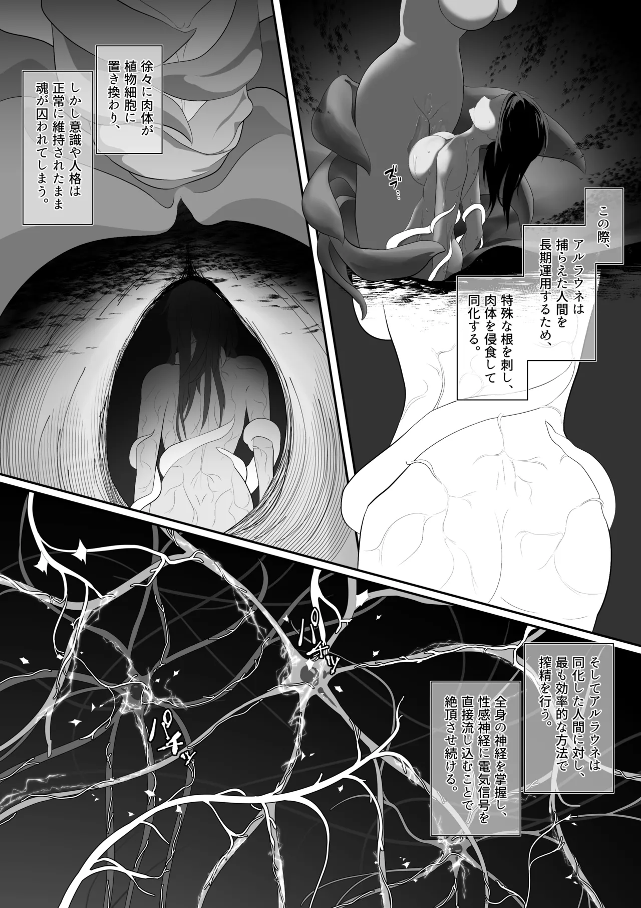淫魔生態録 アルラウネ編 - page19