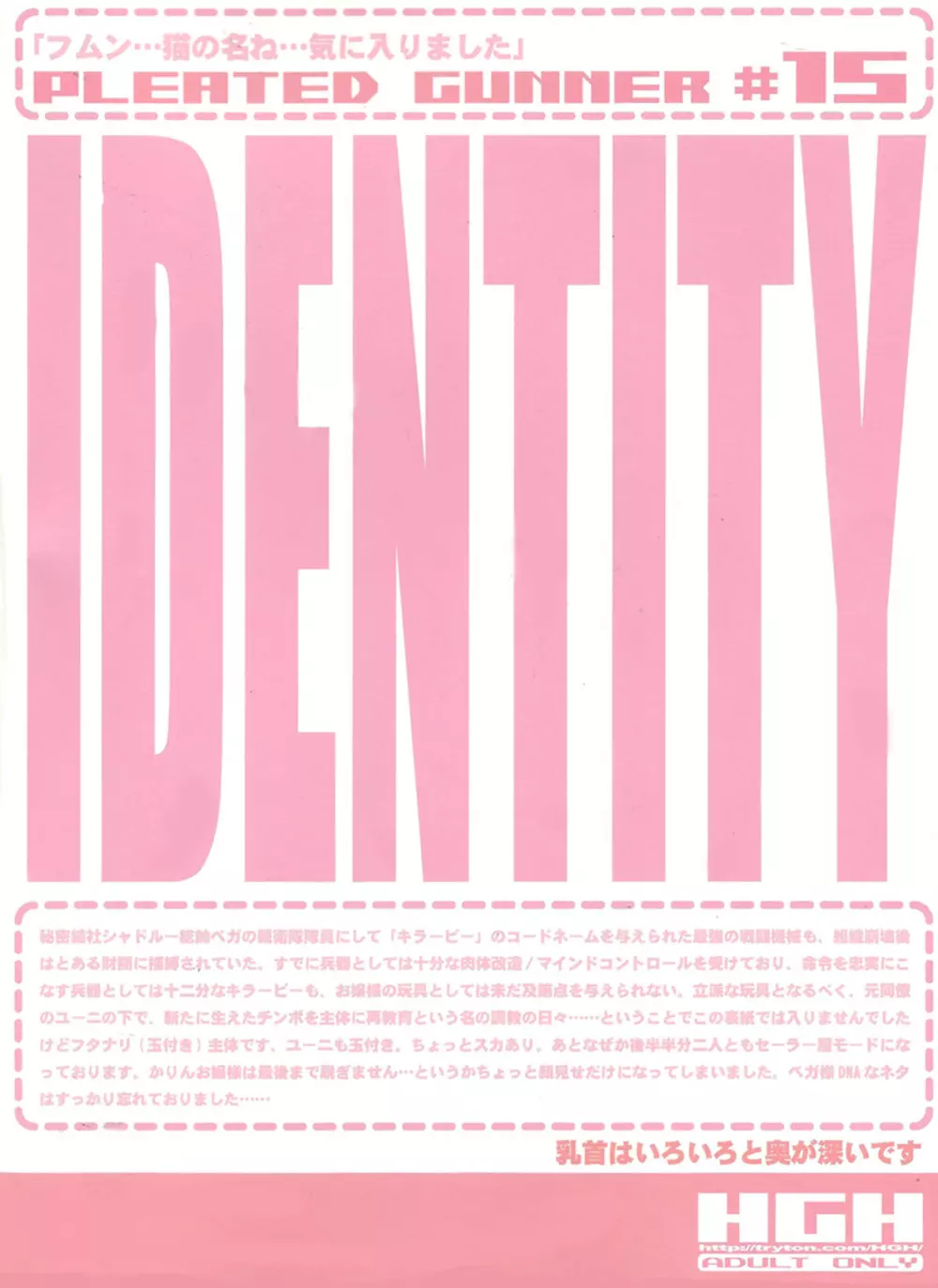 Pleated Gunner 15 - IDENTITY - page2