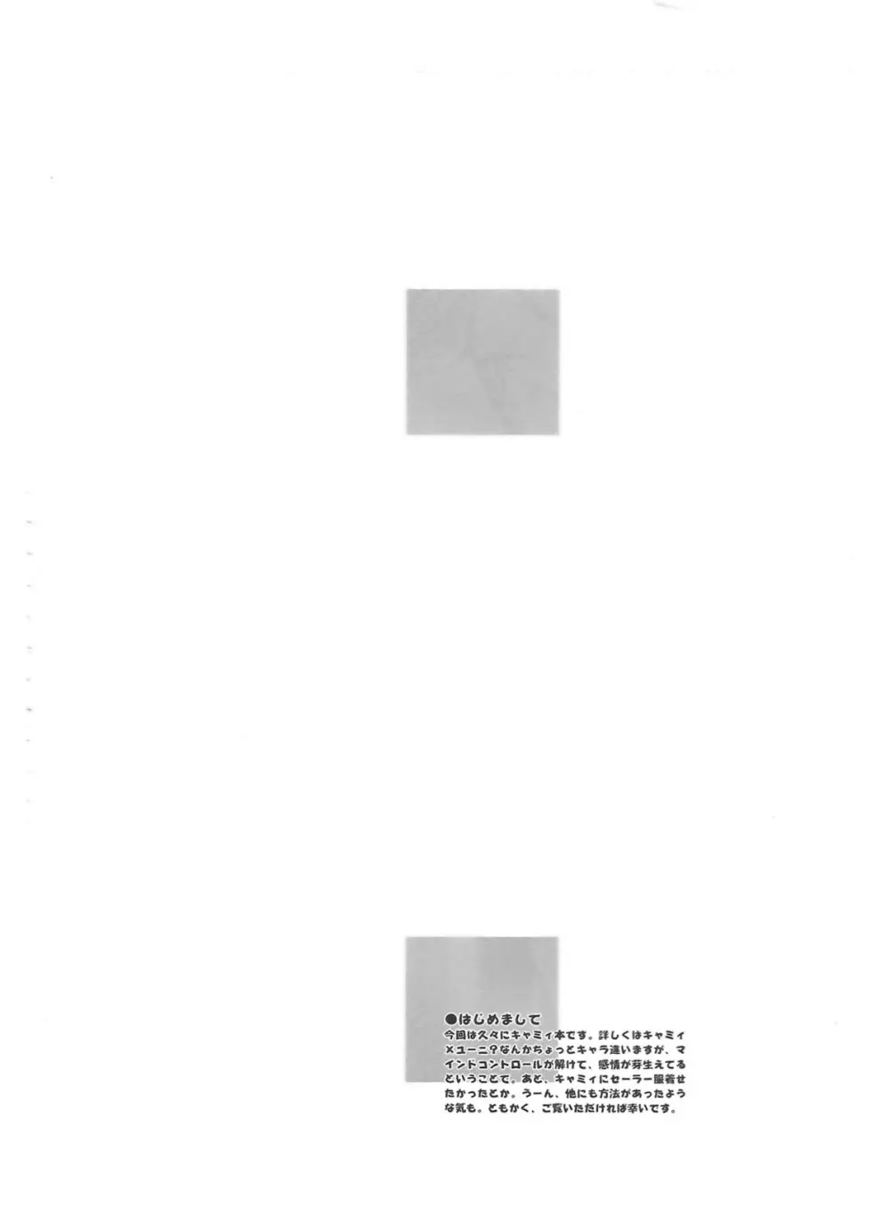 Pleated Gunner 15 - IDENTITY - page4
