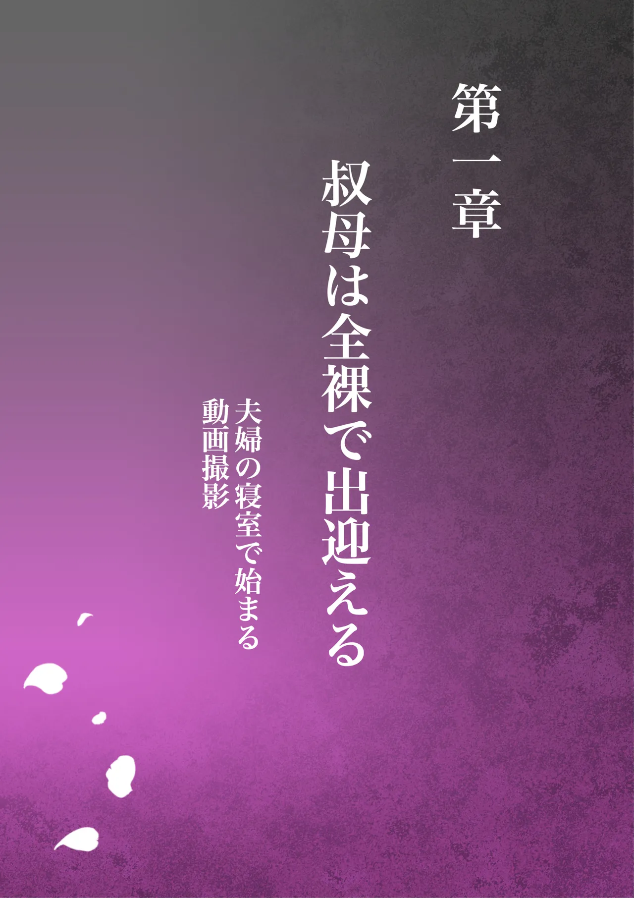 叔母真奈美 夫婦の寝室で同人AV撮影される あこがれの叔母を寝取る3 - page3