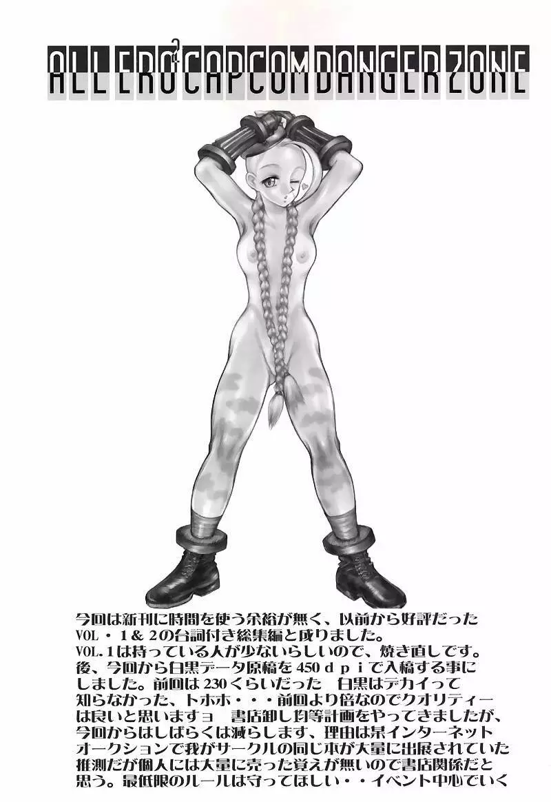 (C59) [たこつぼ倶楽部 (ごじょう忍)] DANGER ZONE-FILES ALL ERO2 CAPCOM COMPLETE-SP (よろず) - page2