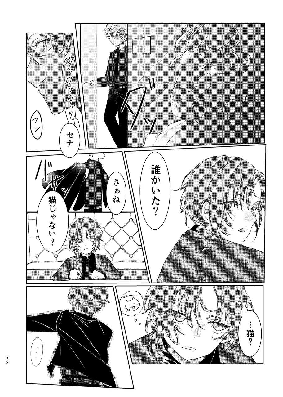 ショート・ショート・リード - page35