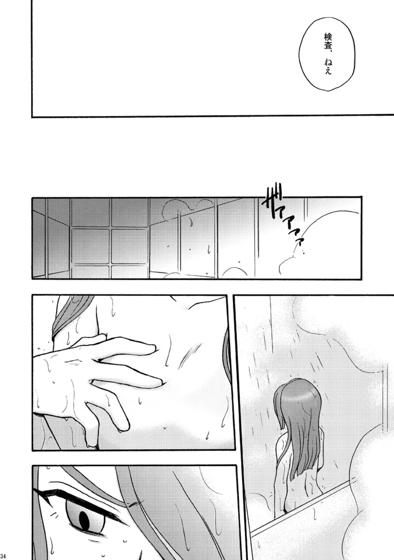 DE-10 - page33