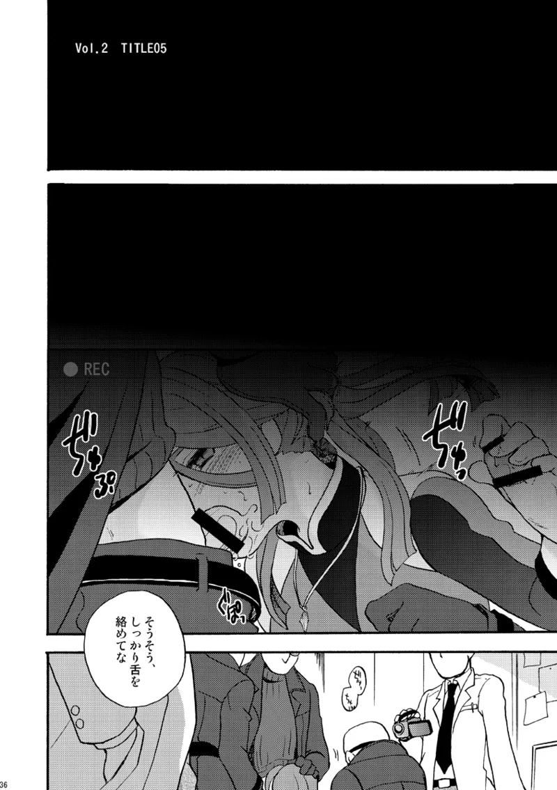 DE-10 - page35