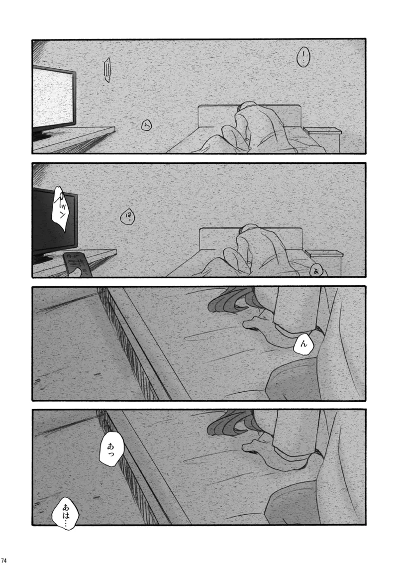 DE-10 - page73