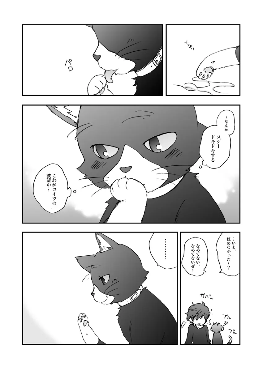 私の彼はハチワレソックス - page12
