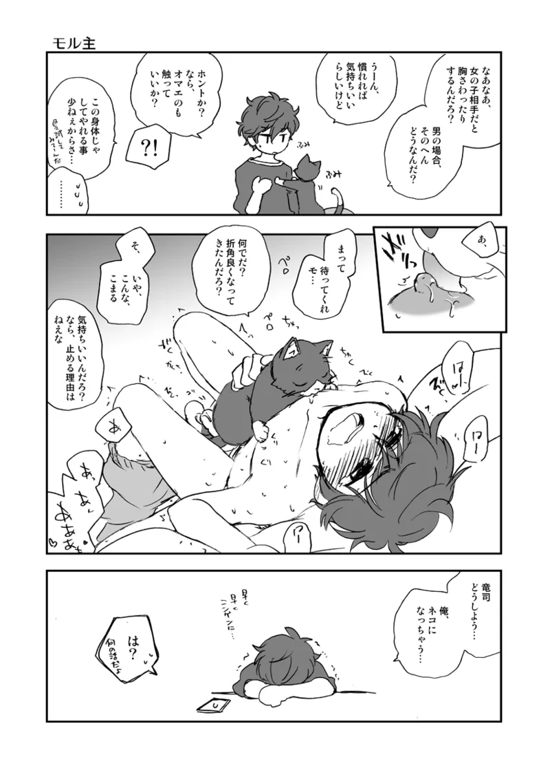 私の彼はハチワレソックス - page16