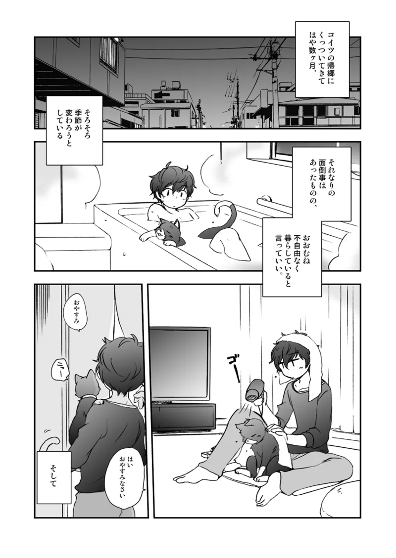 私の彼はハチワレソックス - page4