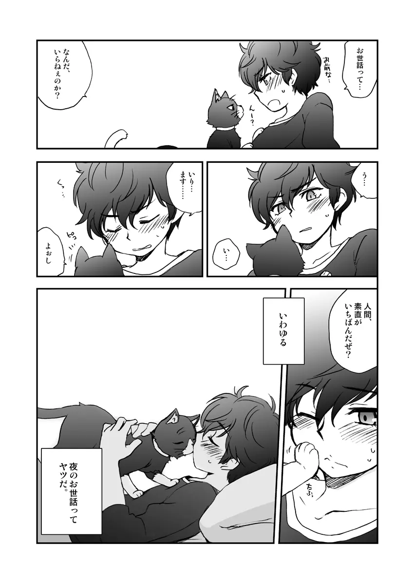 私の彼はハチワレソックス - page6