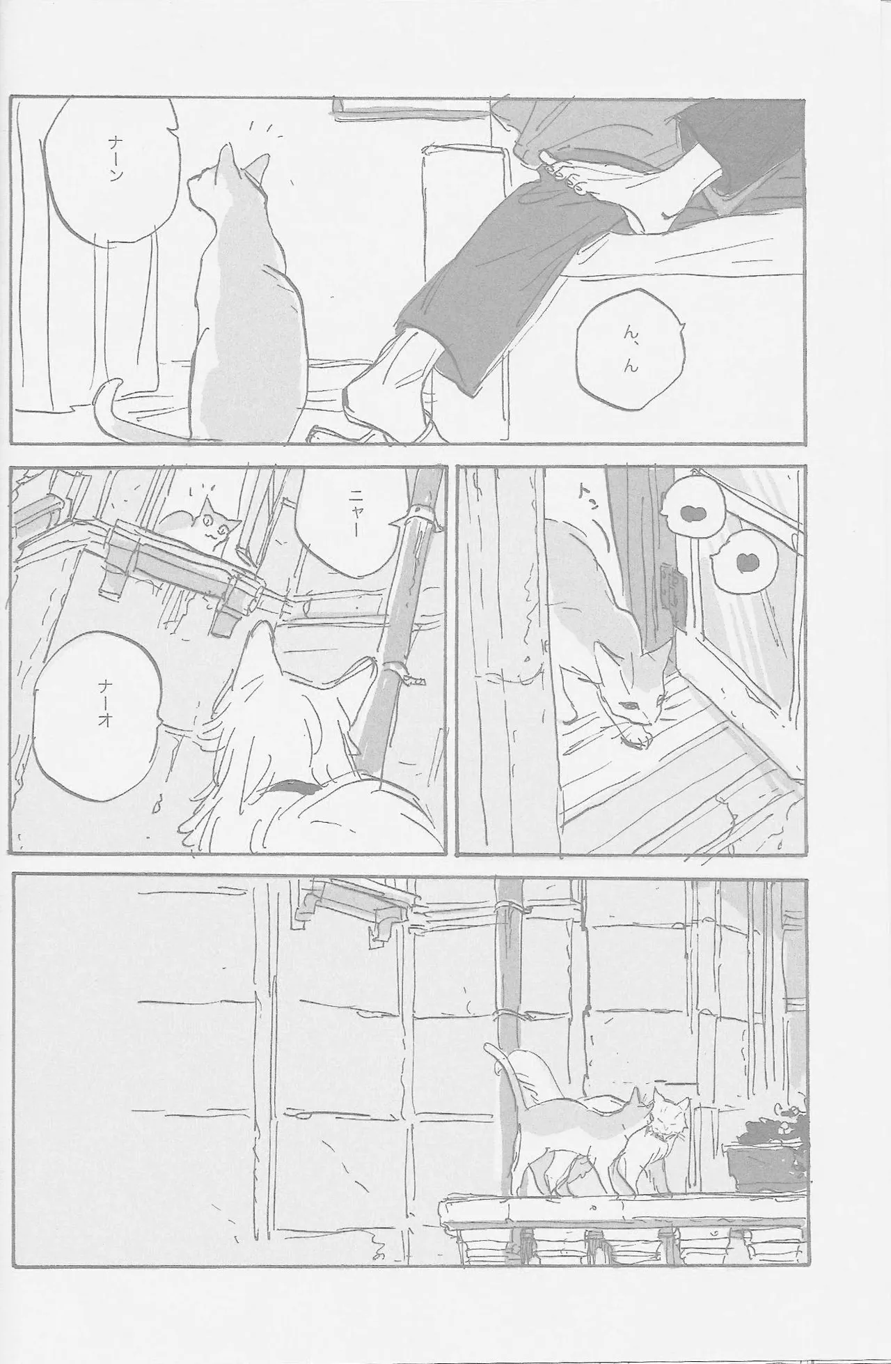 fsx3 - page25