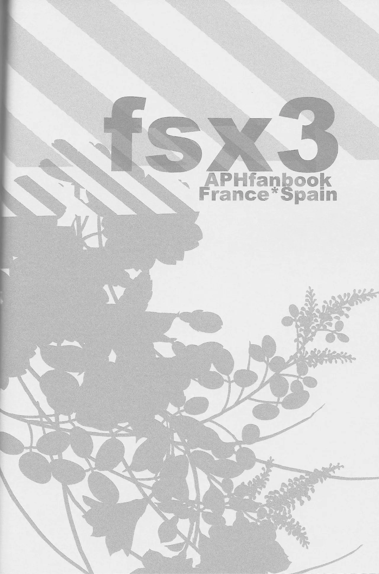 fsx3 - page29