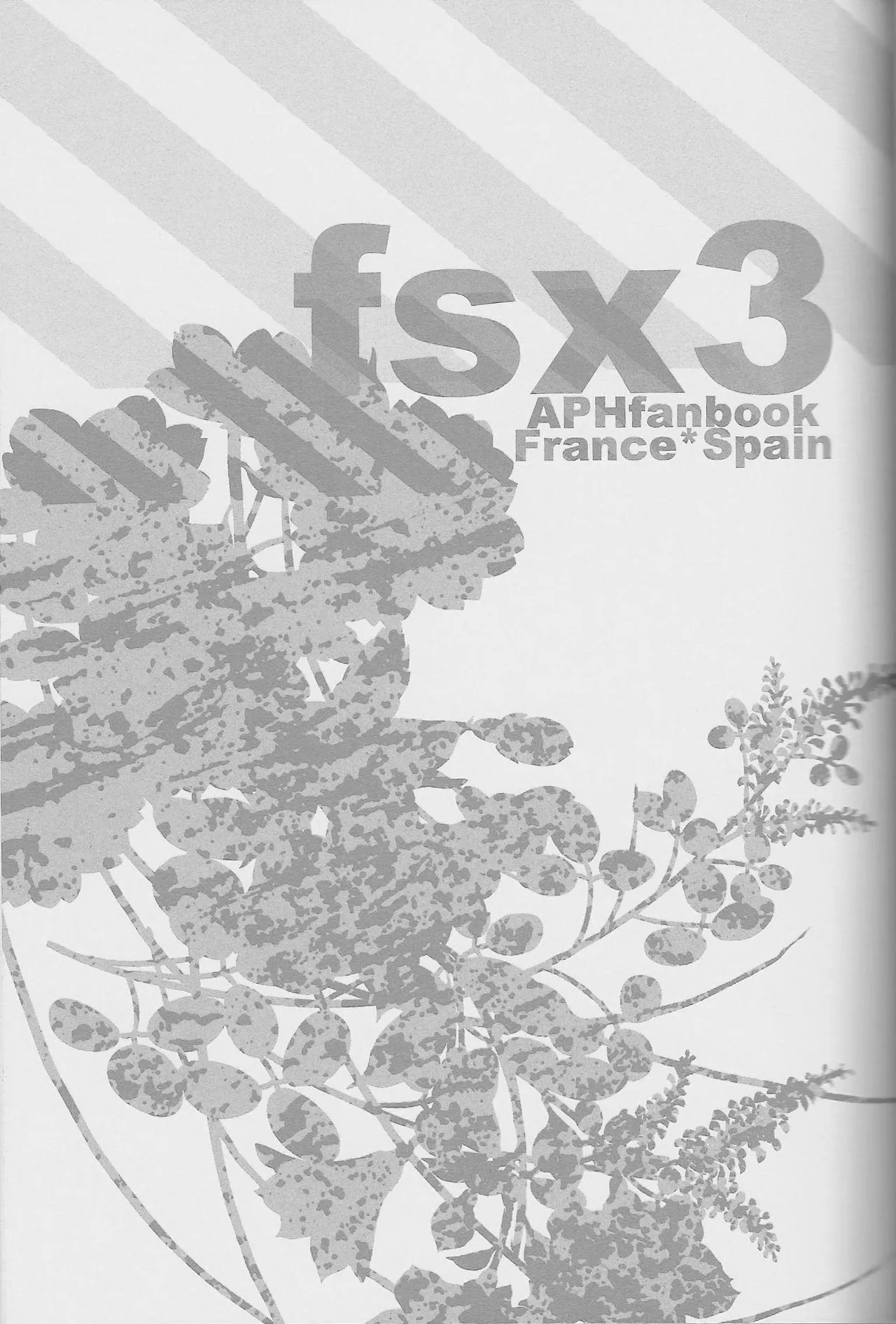 fsx3 - page4