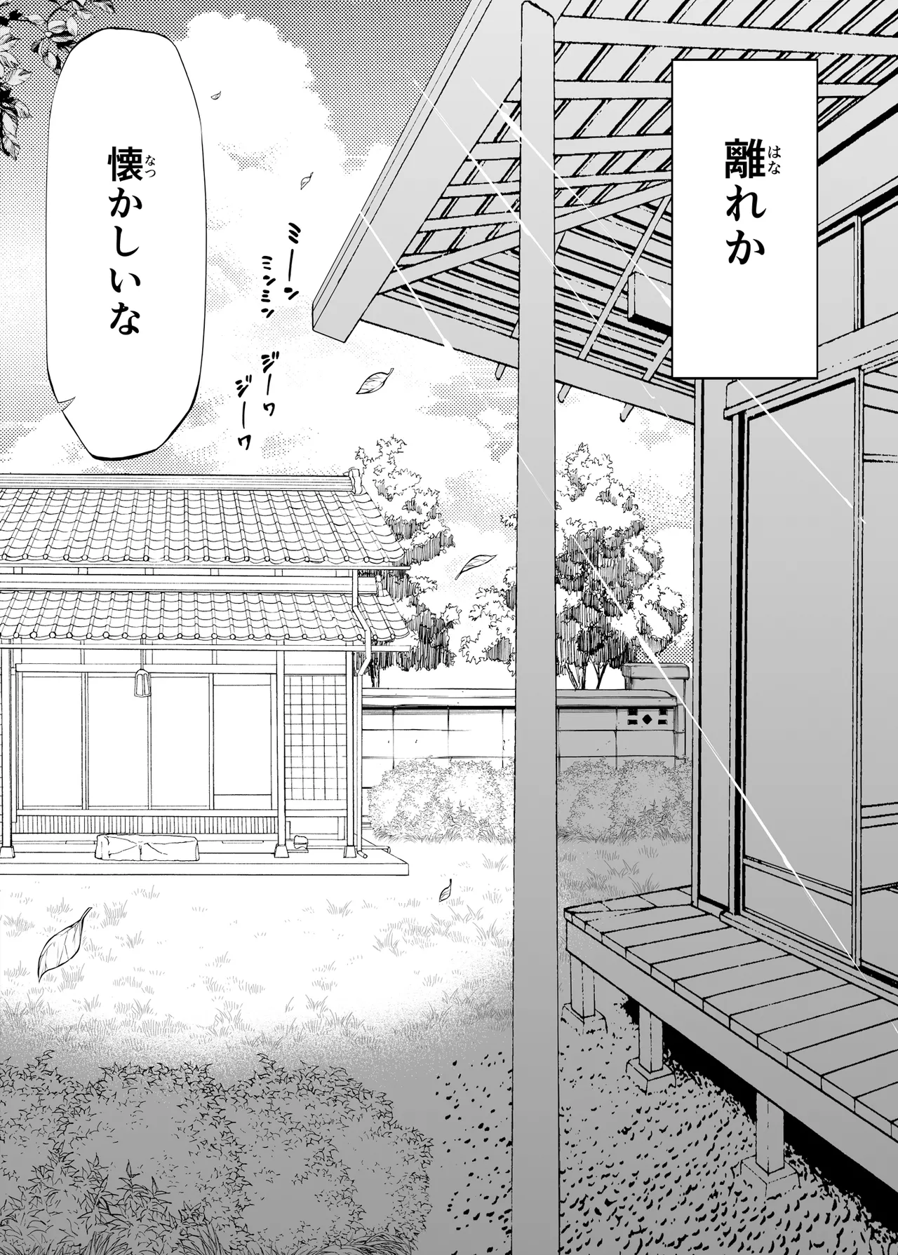 夏のヤリなおし総集編 -夏と田舎と美人姉妹-+夏の息ヌキ【水蓮編】-夏と田舎と幼馴染の姉 - page13