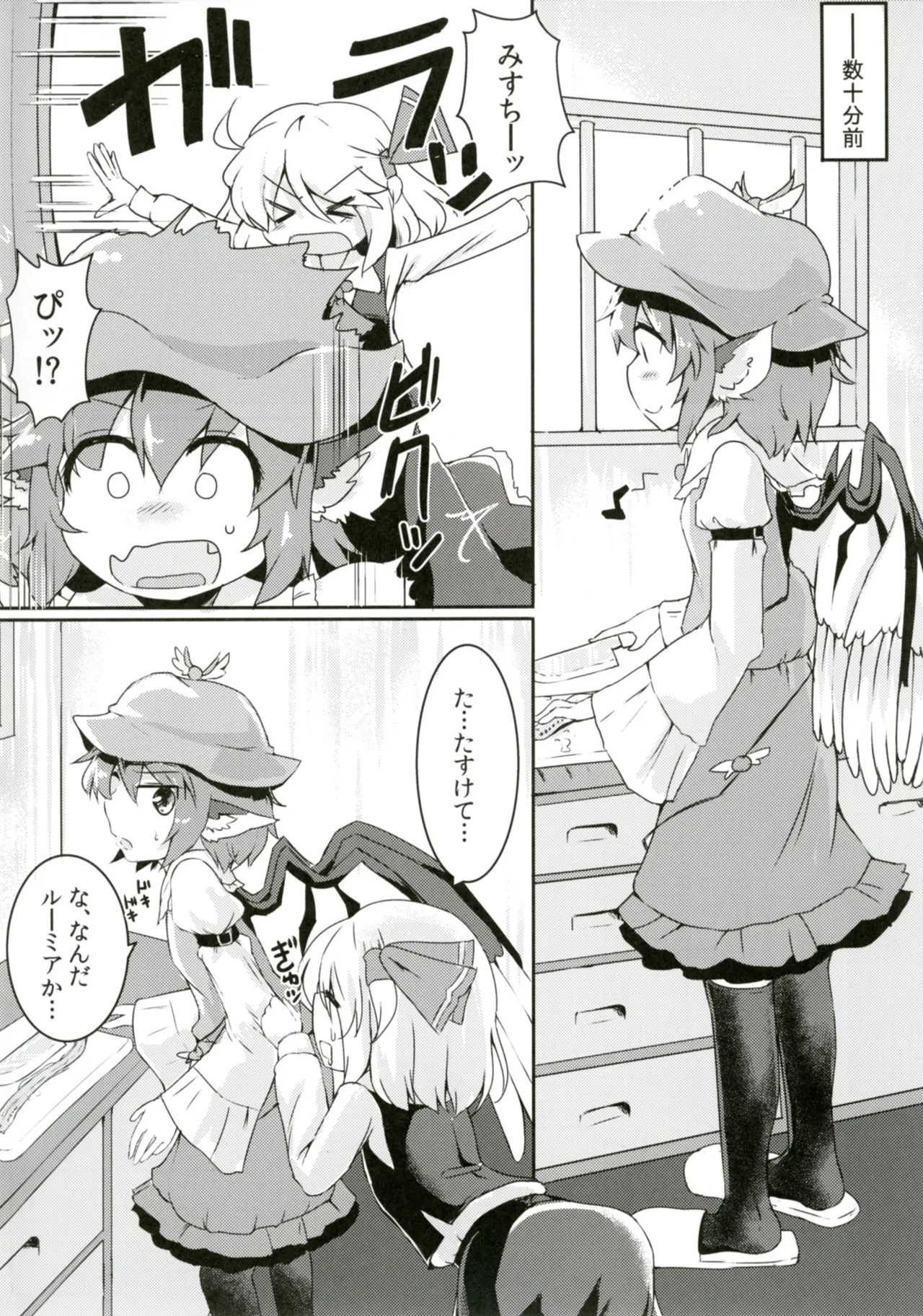 ルーミアとミスティアがイチャつくスケベ本 - page4