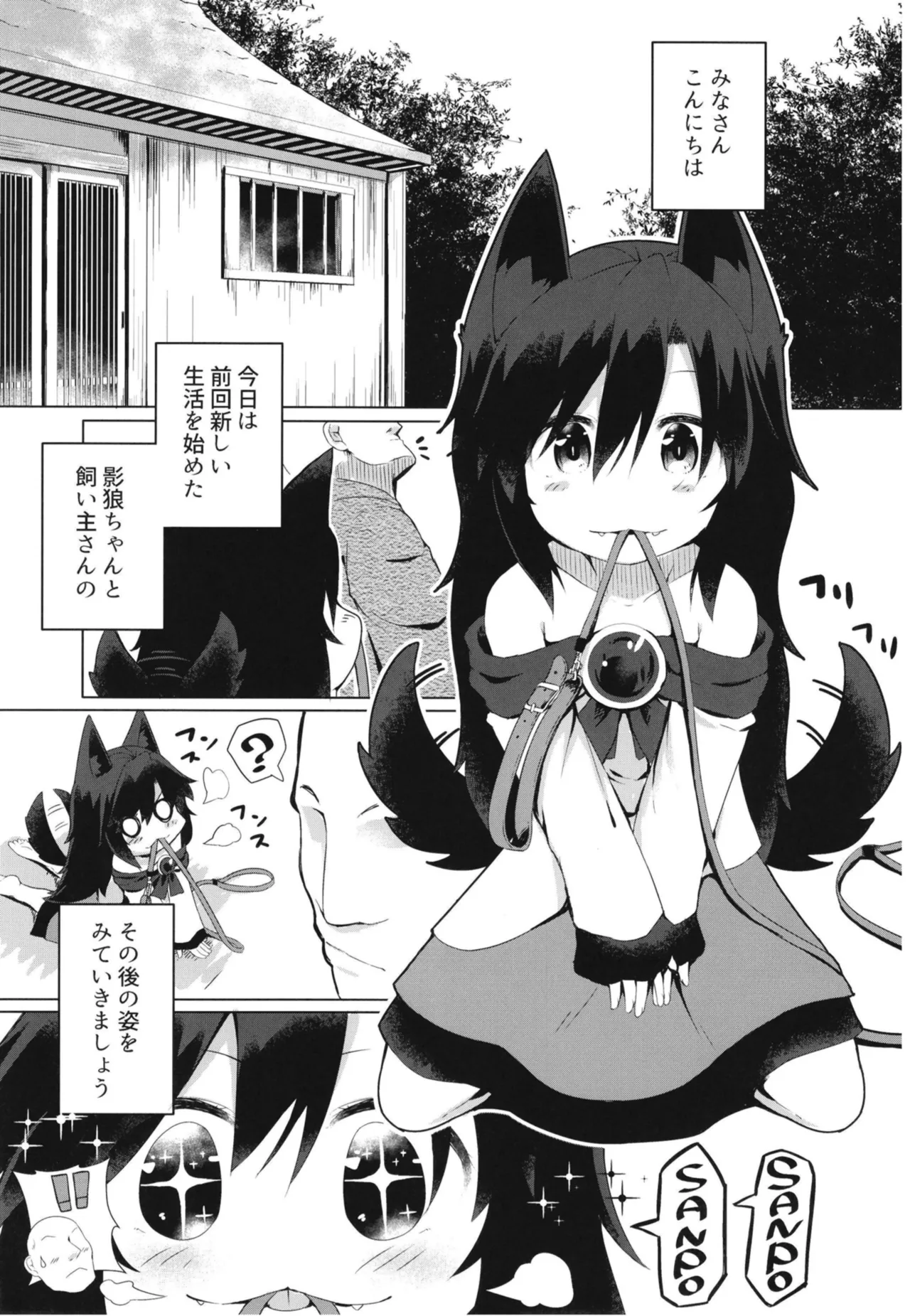 影狼ちゃんの飼い方2 おさんぽ編 - page3