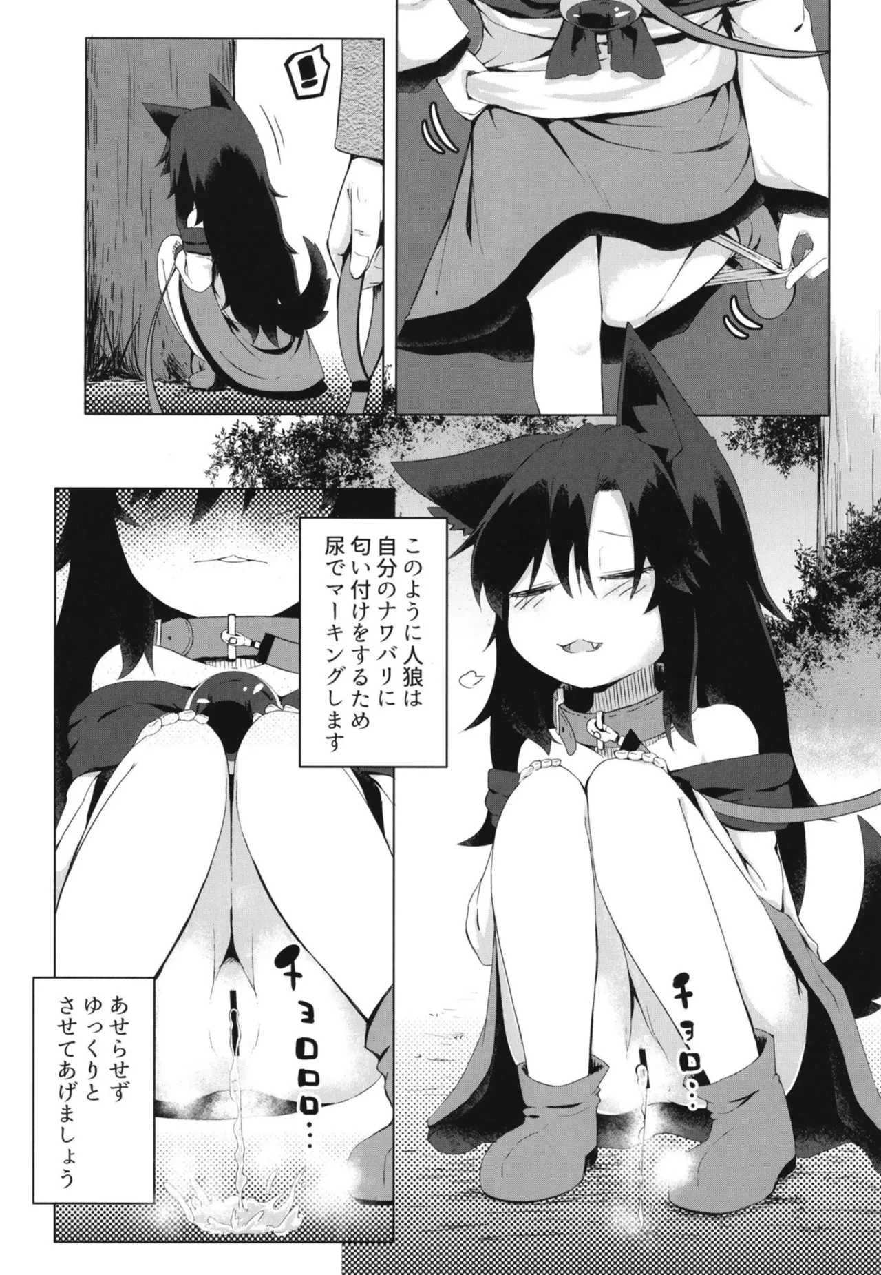 影狼ちゃんの飼い方2 おさんぽ編 - page5
