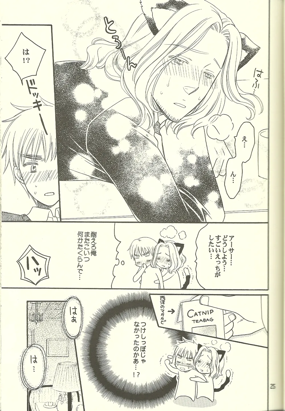 巴里の黒猫 - page24