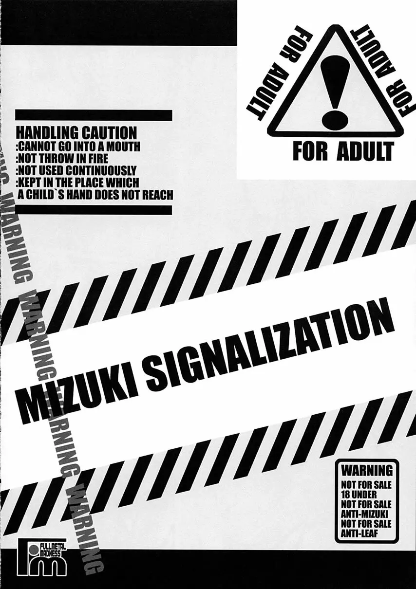 MIZUKI SIGNALIZATION - page15