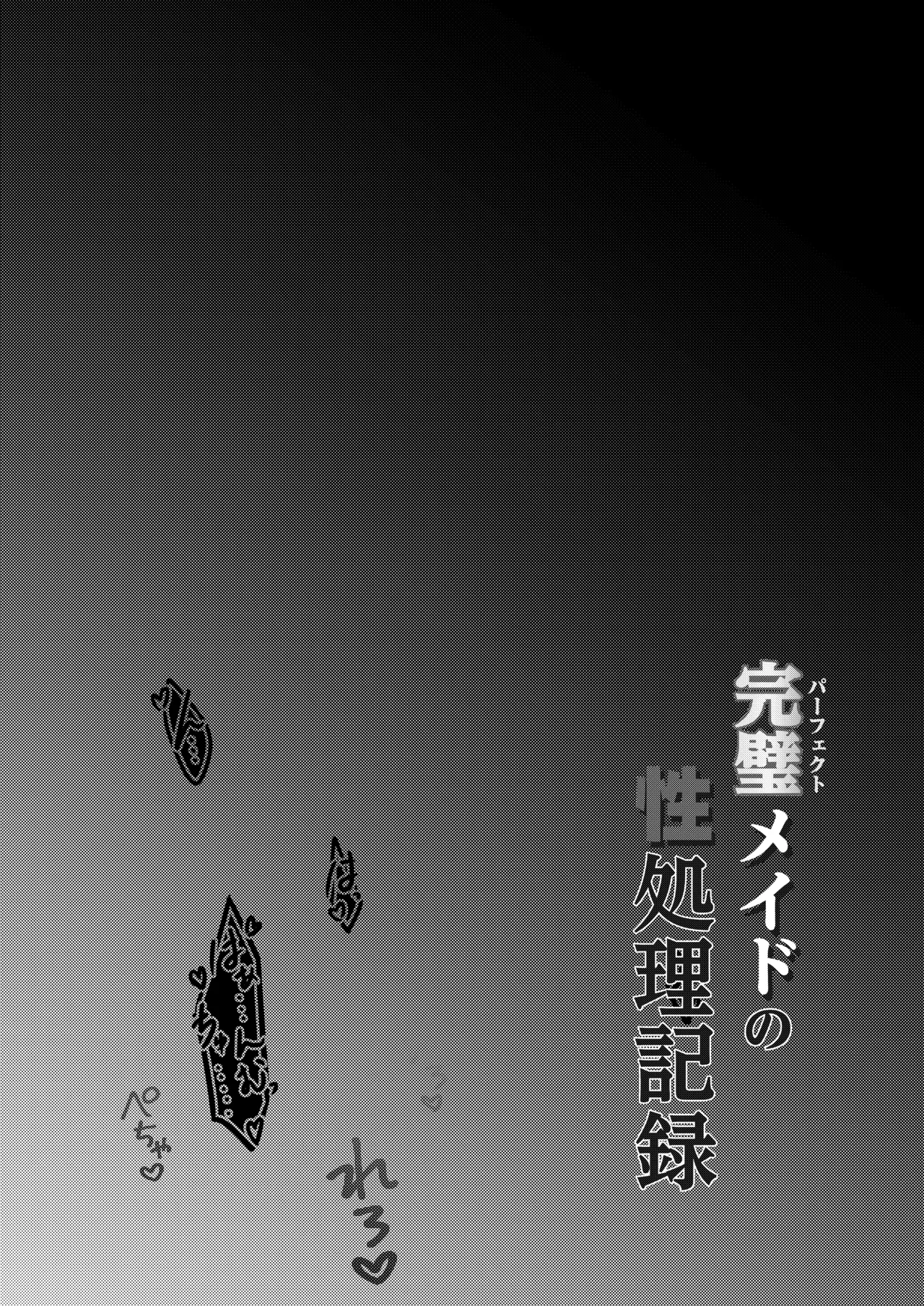 完璧メイドの性処理記録 - page2