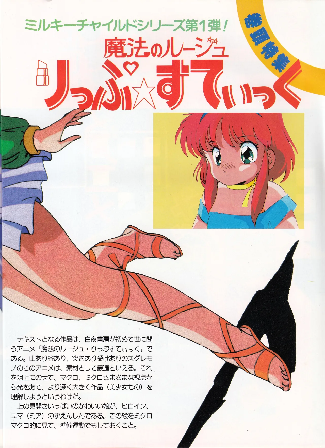 正しい美少女アニメの見方「魔法のルージュ りっぷ☆すてぃっく」特集と設定 - page5