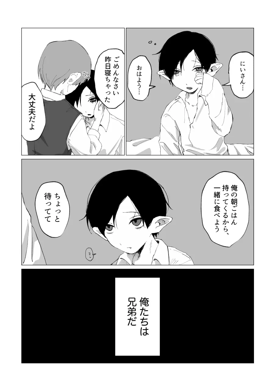 兄さんの家に監禁されてる - page27