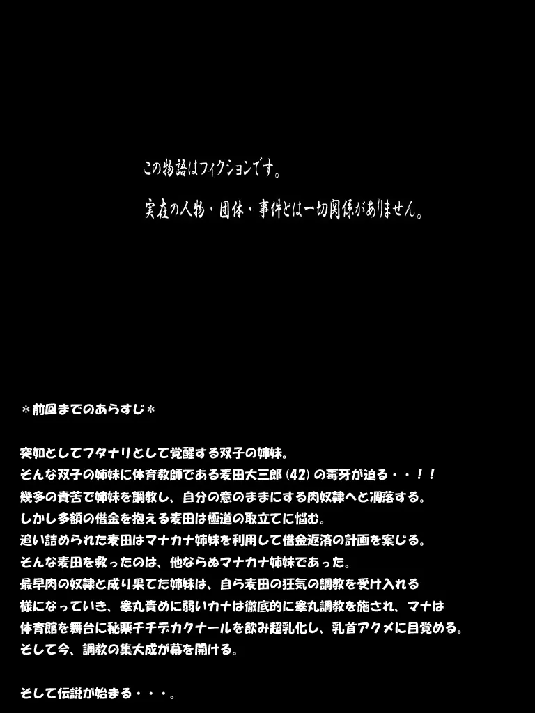 ふたマナなりカナ10 - page2