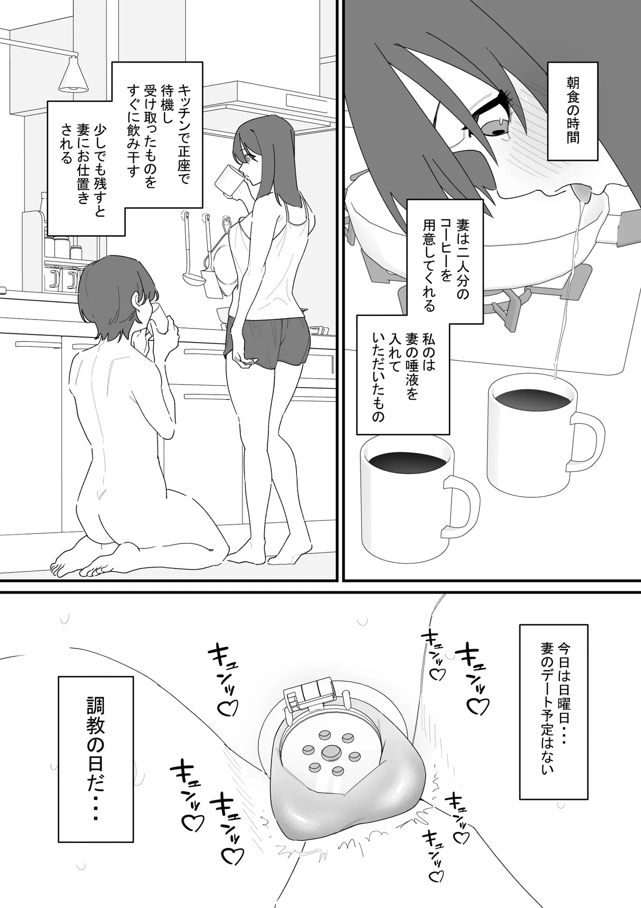 性処理道具にされた夫のメス化計画 - page10